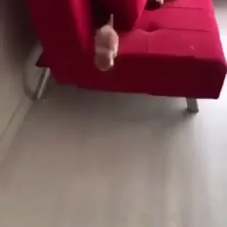 🏃‍♂️