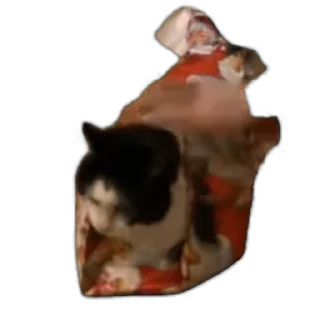 🎁