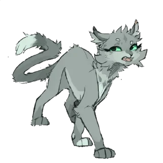 🐱