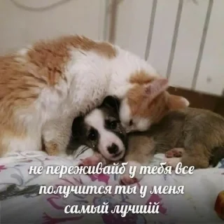 🥰