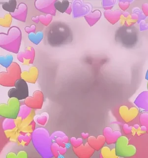 ❤
