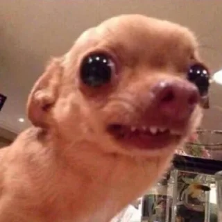 👀