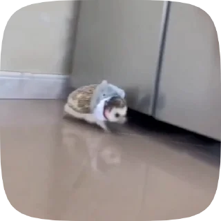 🤭