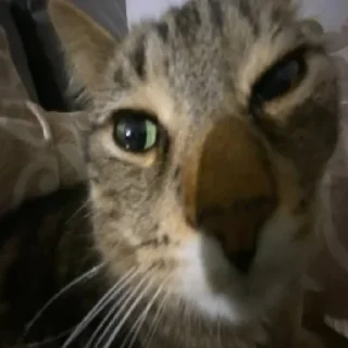 😉