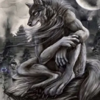 🐺