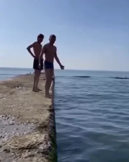 🏊