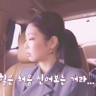 JENNIE SOFT〃@pitchestdark