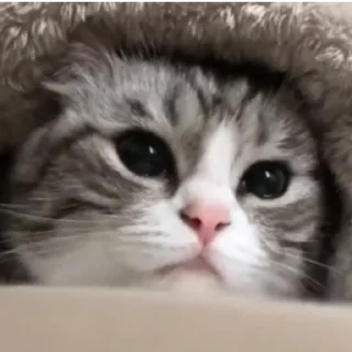 🥰