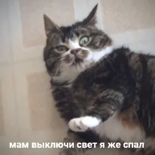 😳