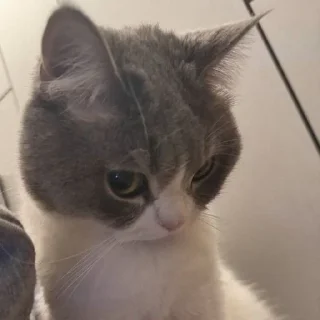 😡