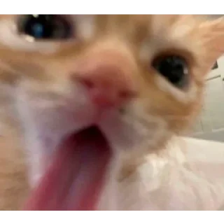😝