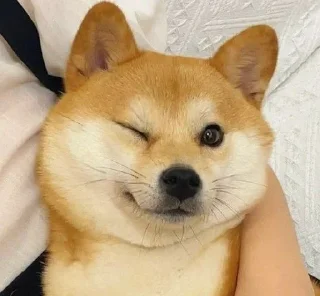 💓