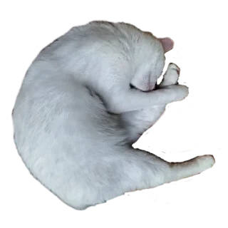 👂