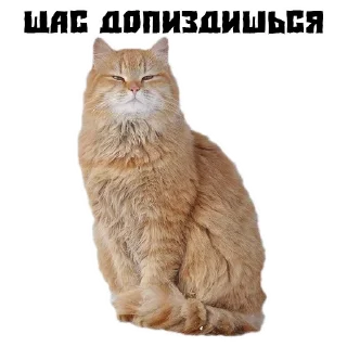 😡