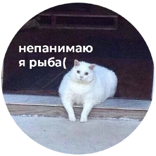 😣