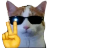 😎