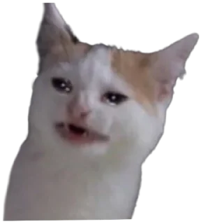 😭