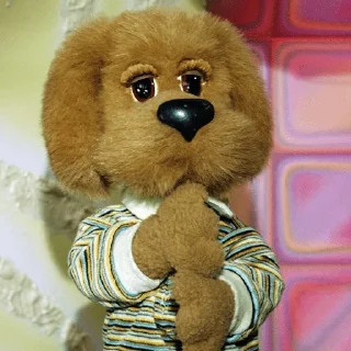 🐶