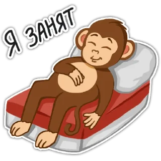 😴