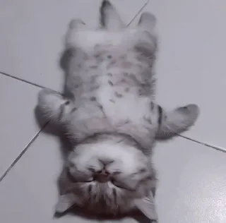 😴