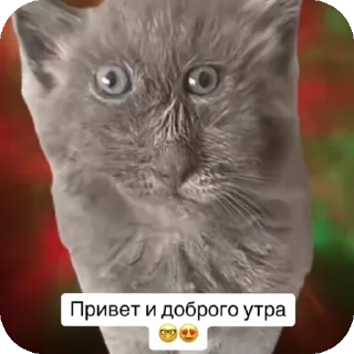 👍
