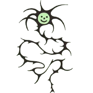 🕷