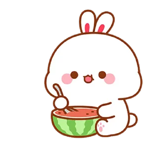 🍉