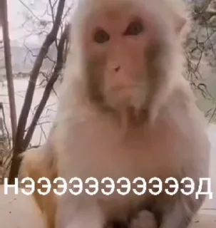 😳