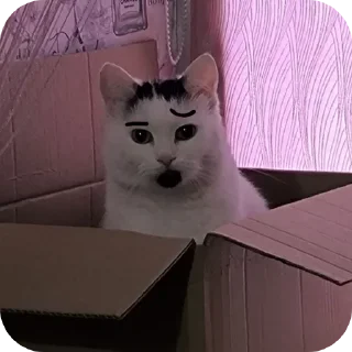 😕