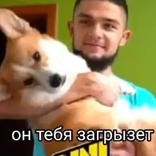 🐶