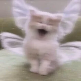 🦋