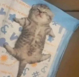 💤