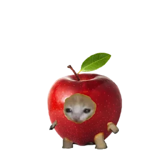 🍎
