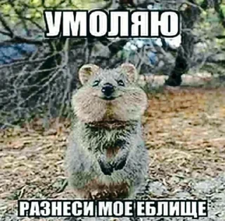❔