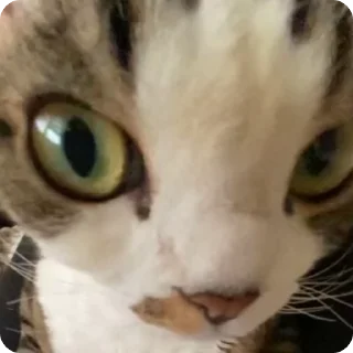 🤯