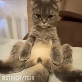 😭