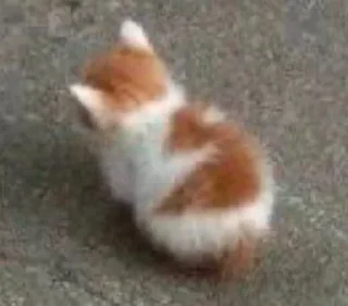 🙂