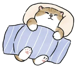 🛌