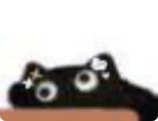 🐱