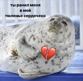 💔
