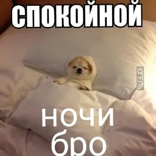 😴