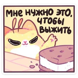 🍪