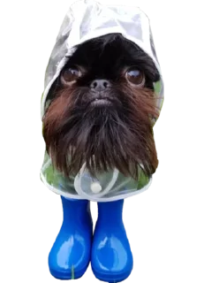 🌧