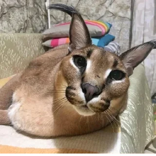 🙂