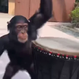 🥁