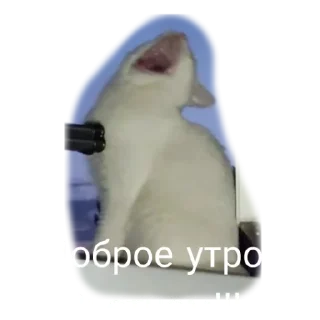 🫨