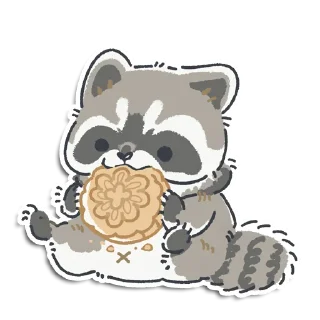 🦝