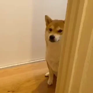 😐