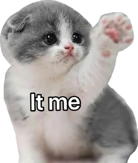 🙋‍♀️