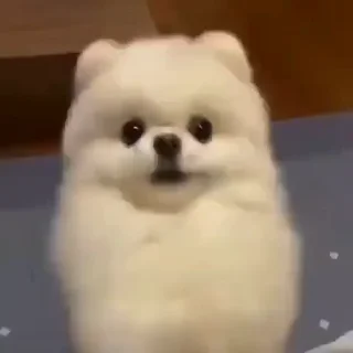 🤩